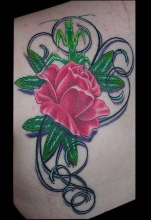 Looking for unique Tattoos? rose and mantis